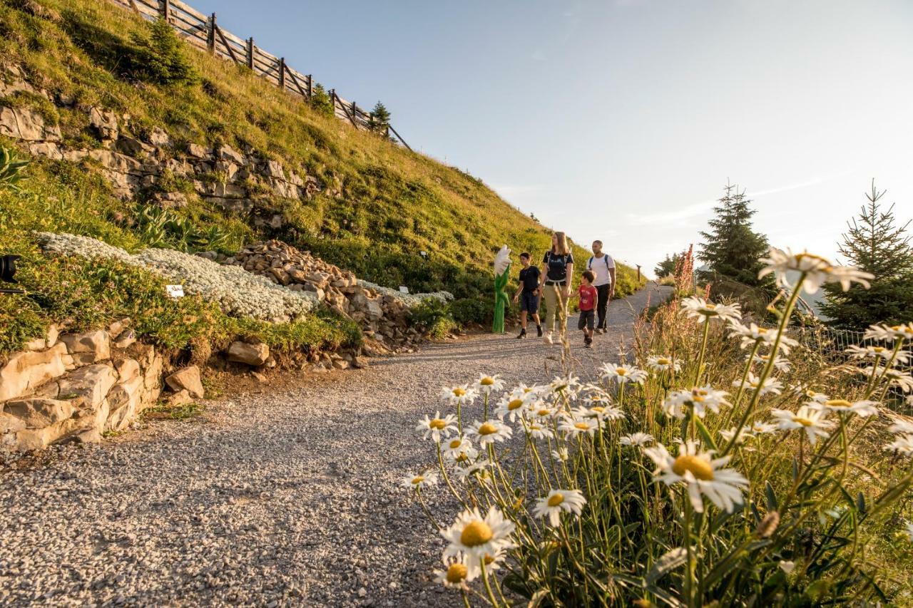 Berghotel Schynige Platte Вильдерсвиль Экстерьер фото