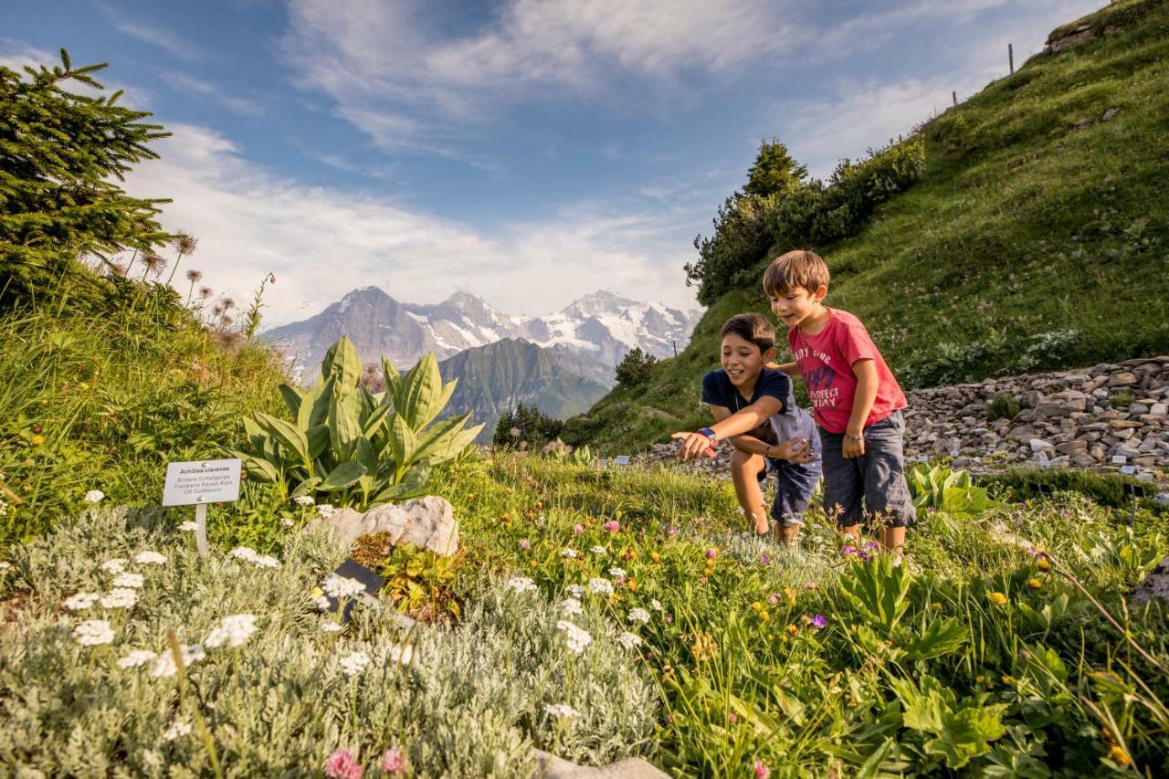 Berghotel Schynige Platte Вильдерсвиль Экстерьер фото