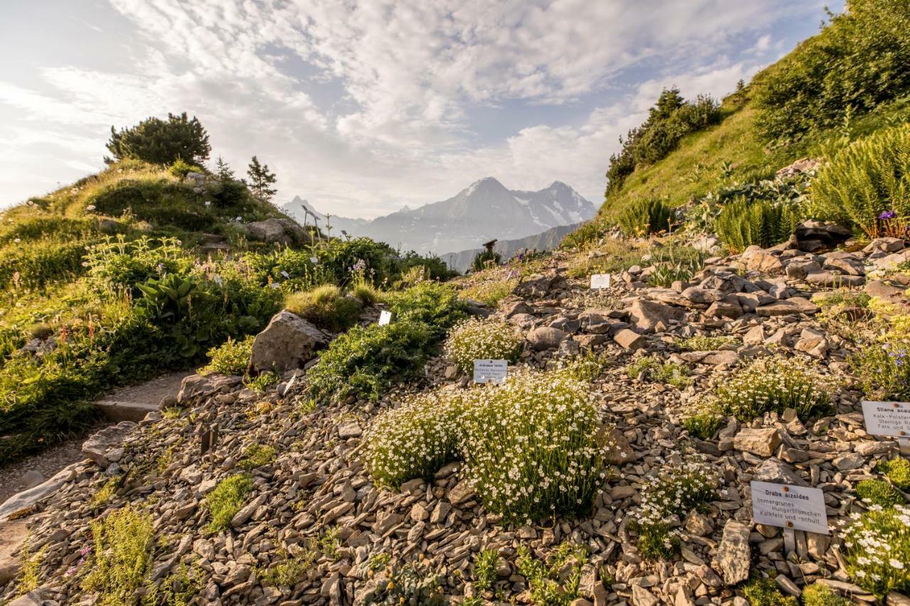 Berghotel Schynige Platte Вильдерсвиль Экстерьер фото