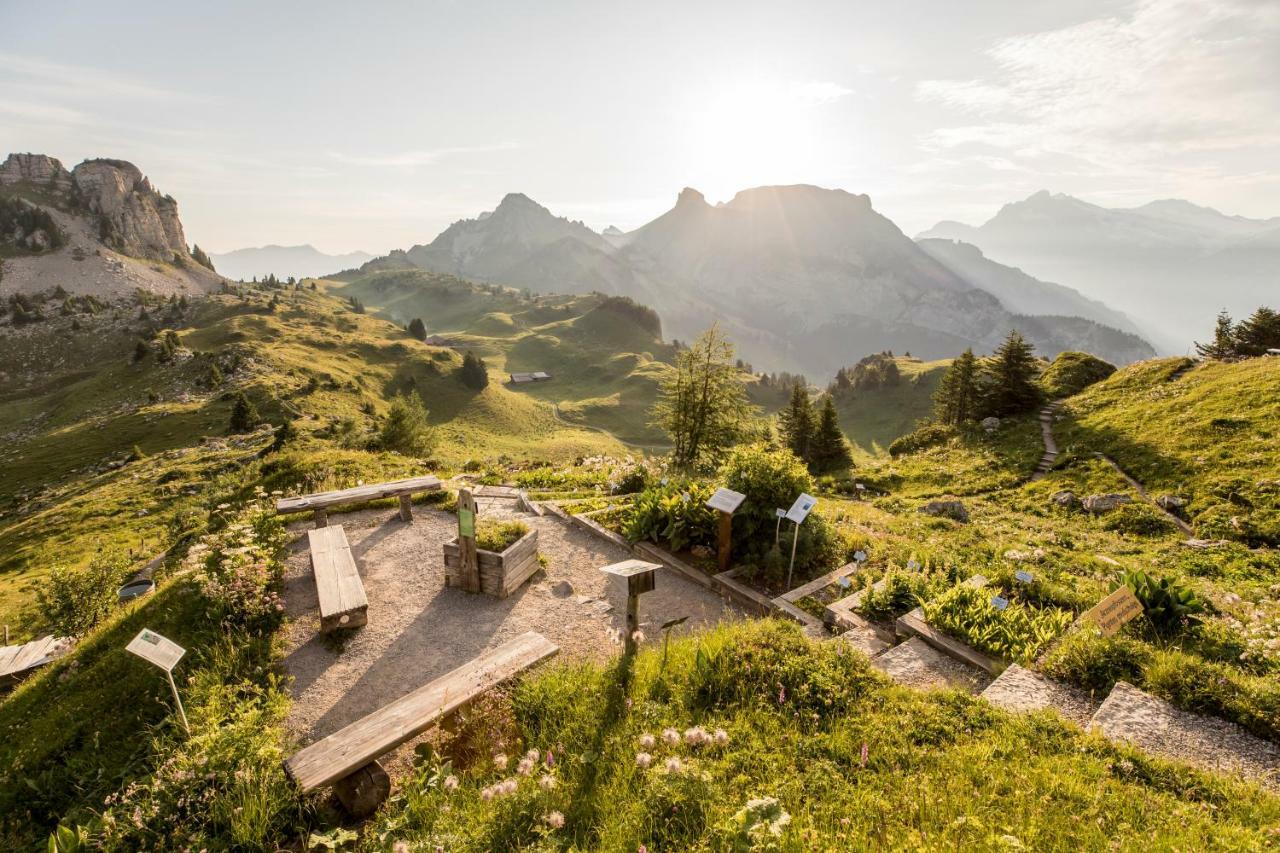 Berghotel Schynige Platte Вильдерсвиль Экстерьер фото